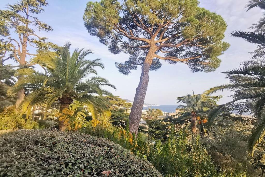 Appartement Nice Centre Vue Mer Avec Piscine Pour Famille, Couple D'Amis Pas De Groupes De Jeunes Autorises المظهر الخارجي الصورة
