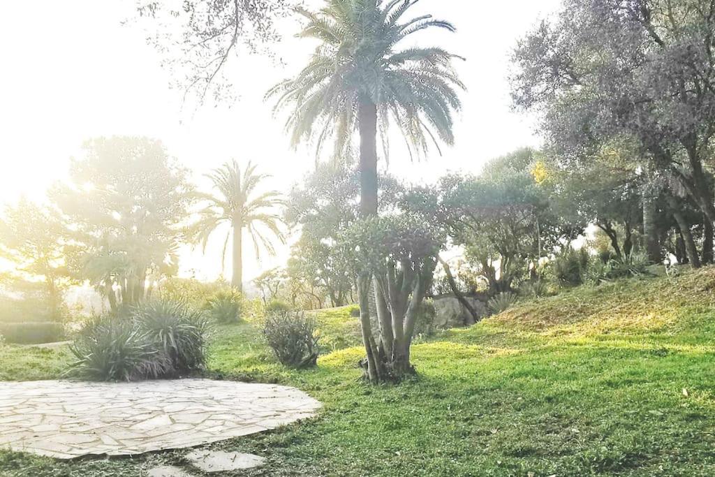 Appartement Nice Centre Vue Mer Avec Piscine Pour Famille, Couple D'Amis Pas De Groupes De Jeunes Autorises المظهر الخارجي الصورة